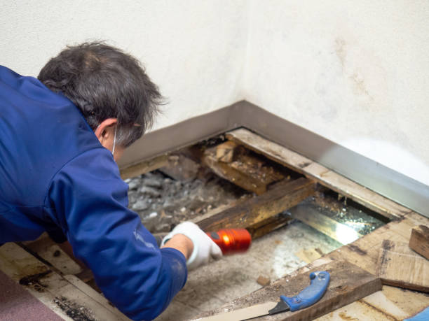 Best HVAC Mold Remediation in Mulgee, OK