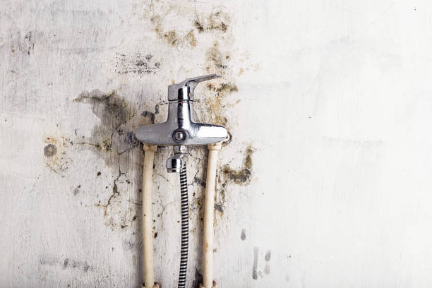 Best Mold Remediation for Schools in Mulgee, OK
