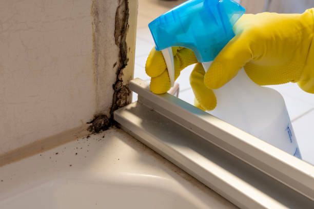 Best HVAC Mold Remediation in Mulgee, OK