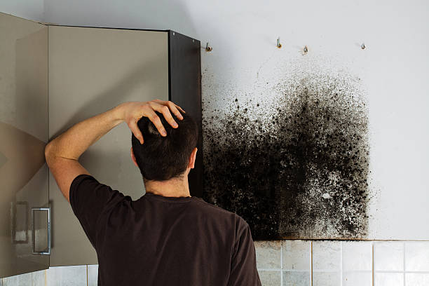 Best Bathroom Mold Remediation in Mulgee, OK