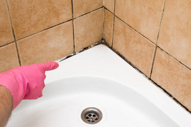 Best Mold Testing and Inspection Services in Mulgee, OK